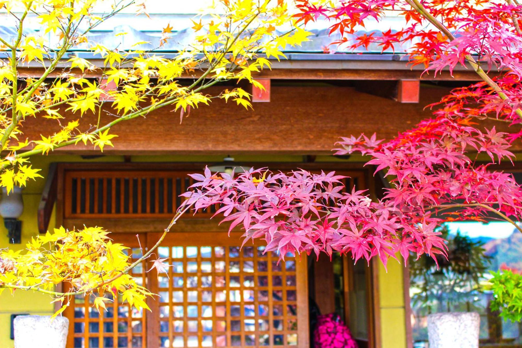 Stay Sakura Kyoto Nijo Castle West I المظهر الخارجي الصورة